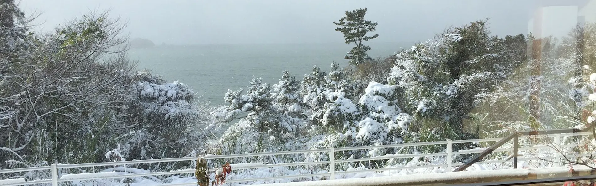 日間賀島 島別荘悠月