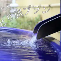 แผนการเดินทางคนเดียว