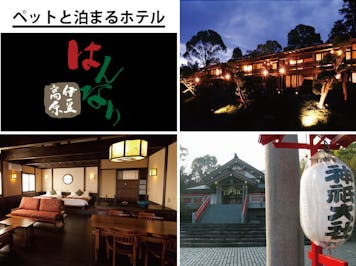 海を望む ペットと泊まれる宿 Wan S Resort ワンズリゾート 城ヶ崎海岸 伊豆高原 の空室状況を確認する 宿泊予約は 一休 Com 海を望む ペットと泊まれる宿 Wan S Resort ワンズリゾート 城ヶ崎海岸 伊豆高原 の空室状況を確認する 宿泊予約は 一休 Com
