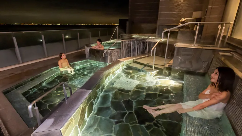 Ryugujo Spa Hotel Mikazuki Fujimitei