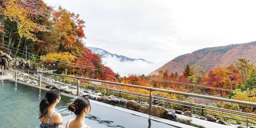 Hakone Kowakien Ten-yu