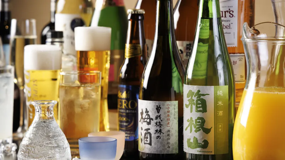 Hakone Kowakien Ten-yu