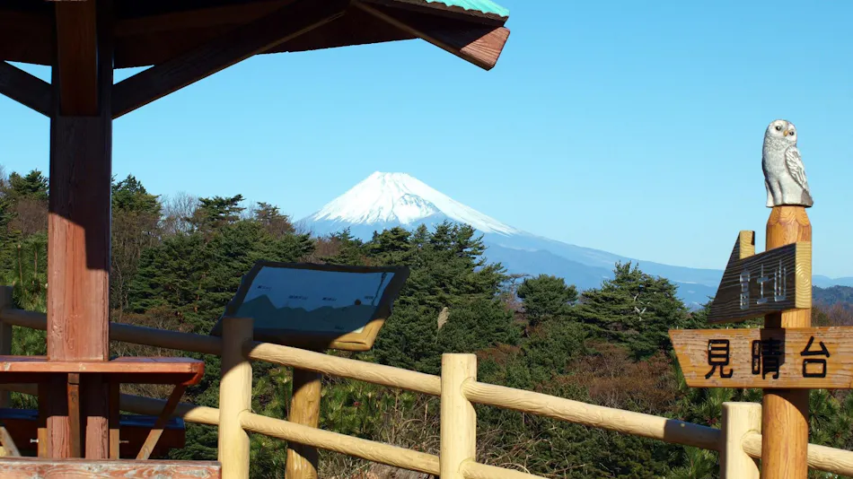 Izu Marriott Hotel Shuzenji