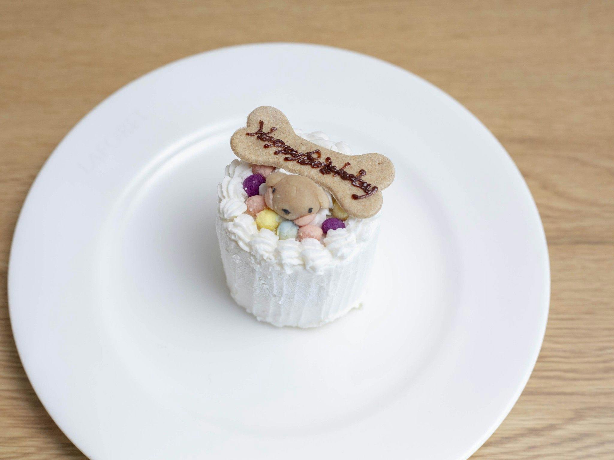 พร้อมภาพ DOG