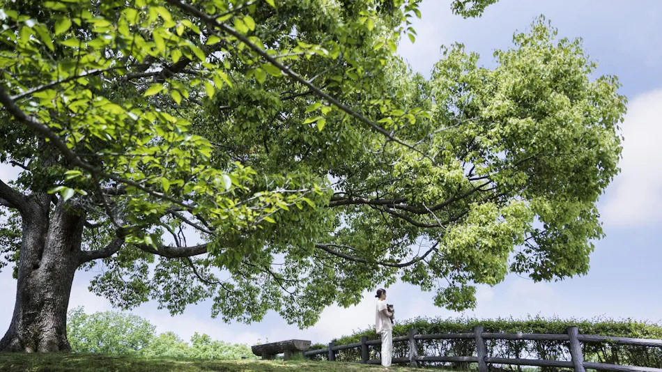 Izu Marriott Hotel Shuzenji