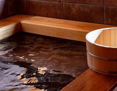 日本庭園が見える部屋＜日新＞