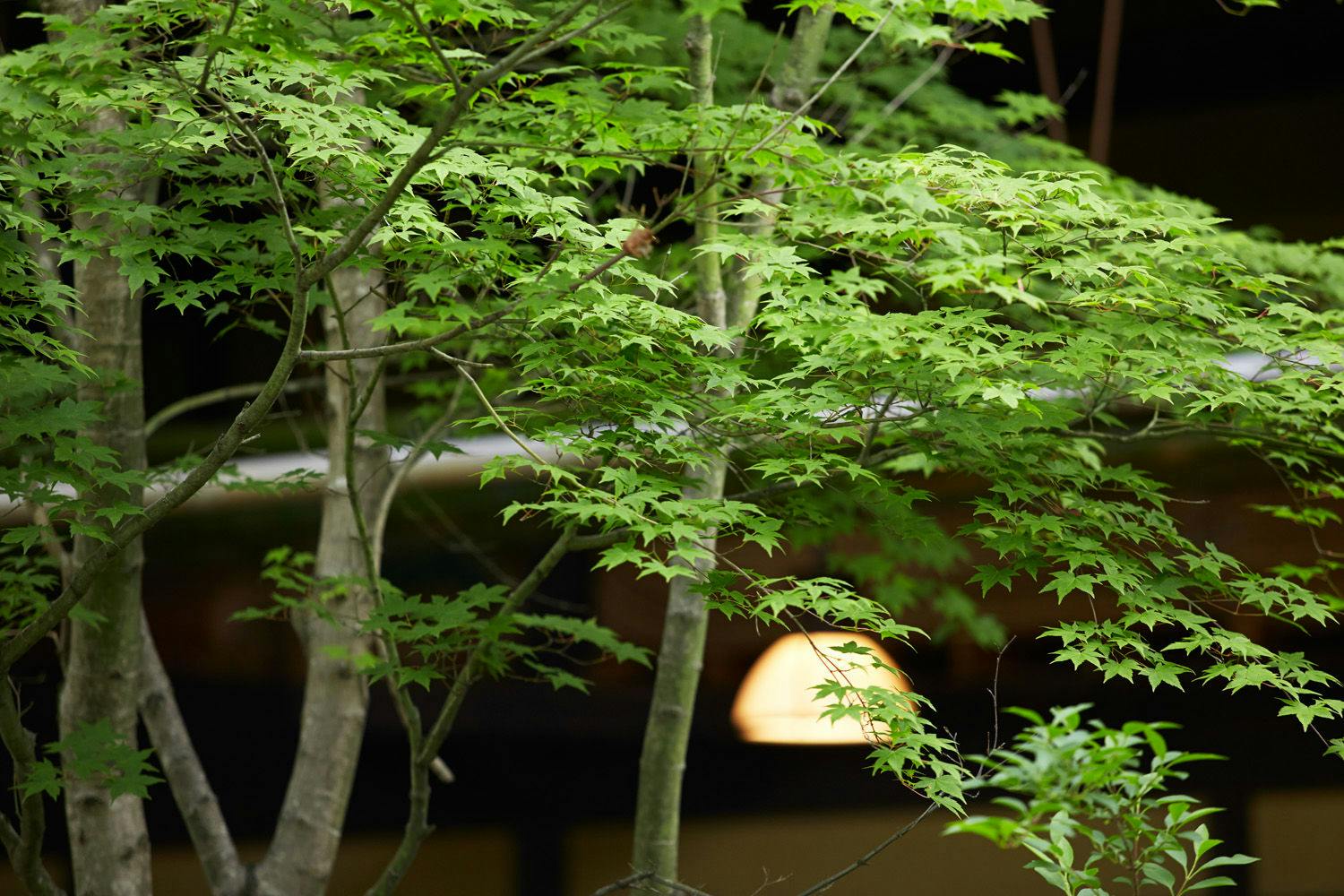 亀の井別荘