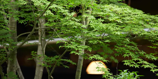 亀の井別荘