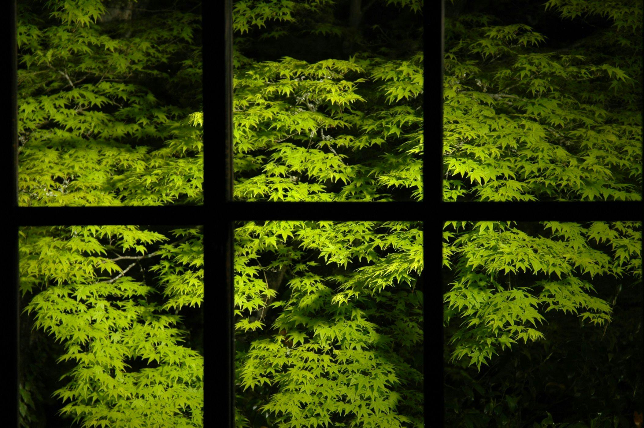 亀の井別荘