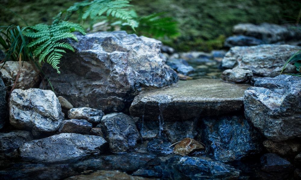 道後御湯