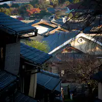 推荐清晨漫步东山,也推荐清水寺的清晨参拜。