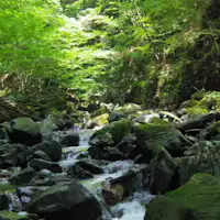 夏は渓流近くで涼みませんか?