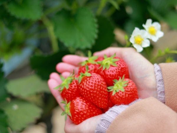 ホテル四季の館那須