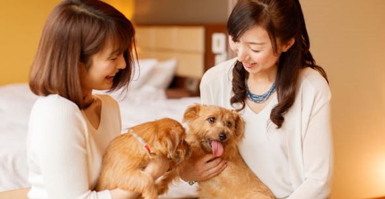 ペット同伴専用客室 陶器風呂付き リビング ツインルーム ワンちゃんと同室宿泊 大切なペットと一緒に那須旅行 ご夕食は 那須高原 本格フレンチフルコース プラン ホテル四季の館那須 18年10月11日グランドオープン 一休 Com