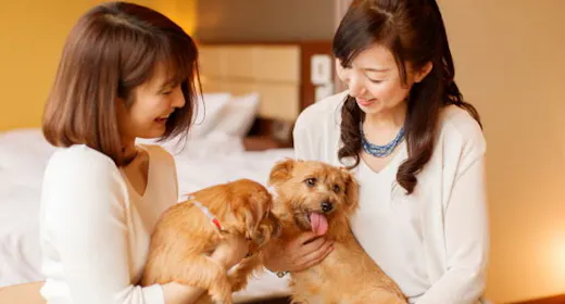 【愛犬同伴専用客室】