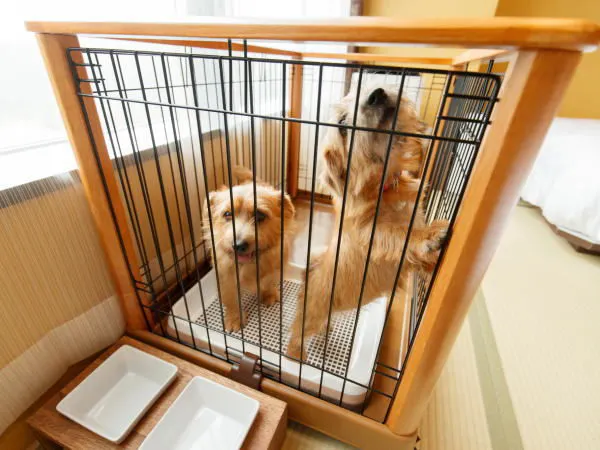 【愛犬同伴専用客室】