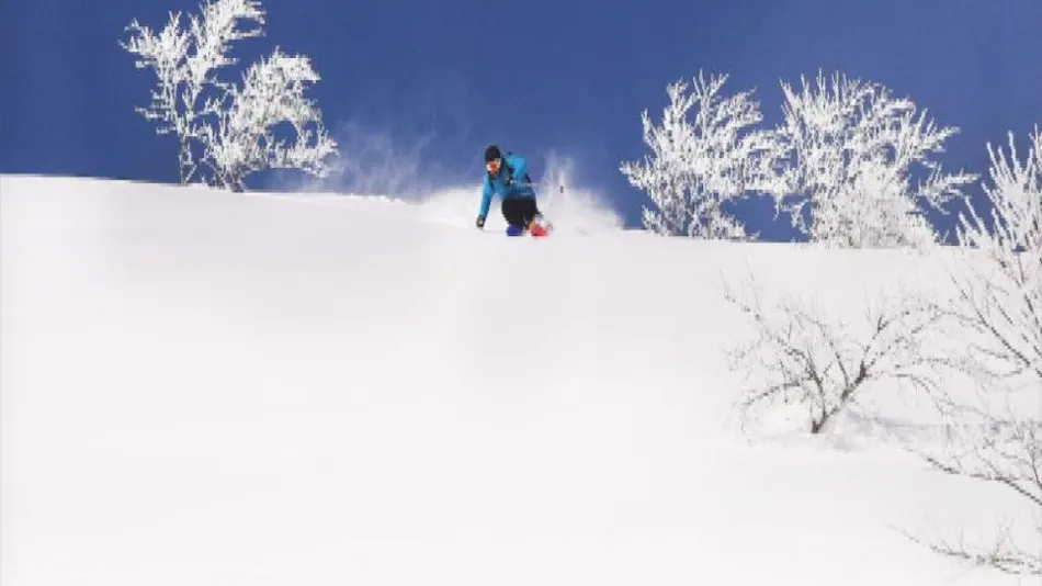 Lotte Arai Resort