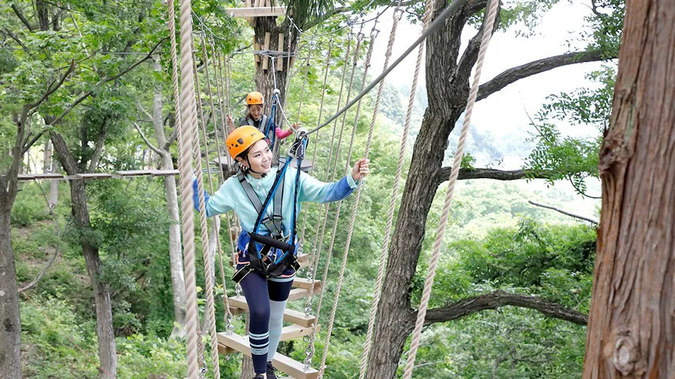Lotte Arai Resort