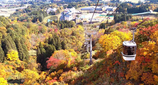 【紅葉を満喫】紅葉ゴンドラリフト券付きプラン<夕朝食付>