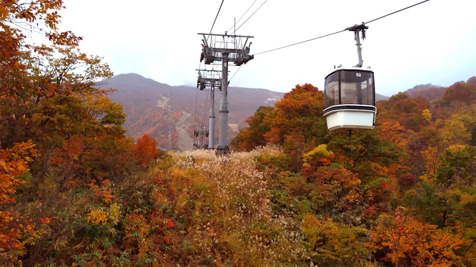 Lotte Arai Resort
