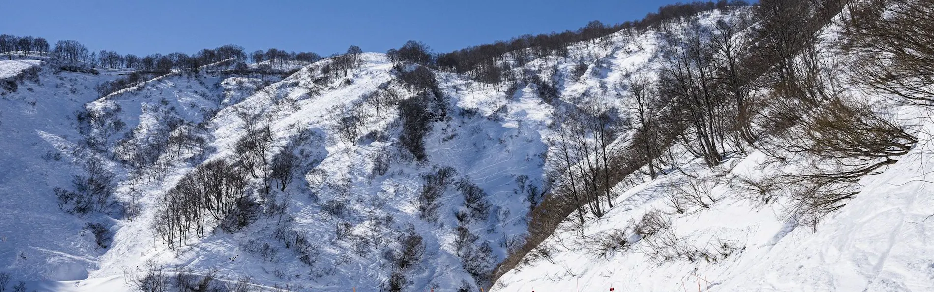 ロッテアライリゾート