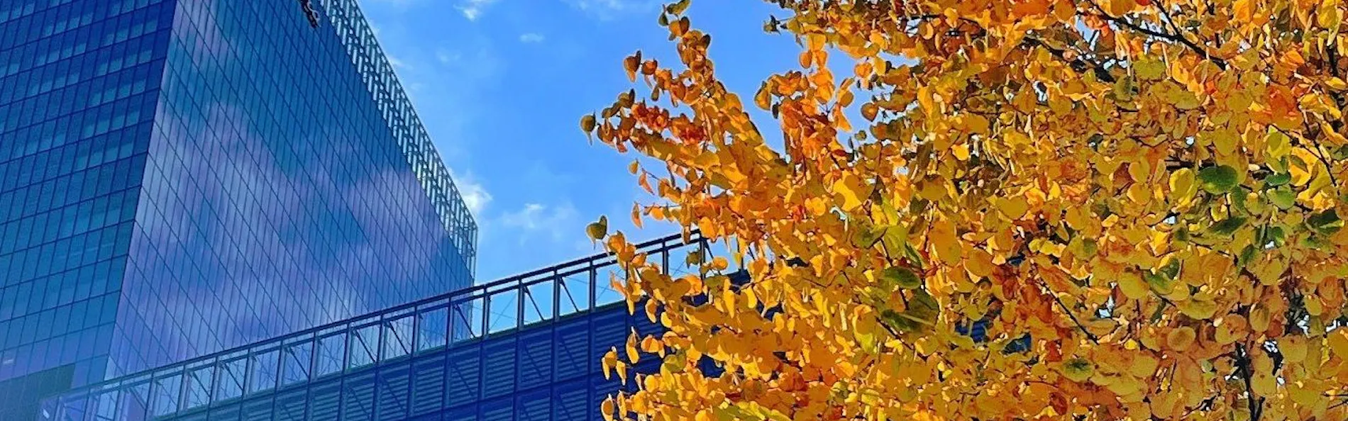 The Okura Tokyo