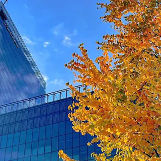 The Okura Tokyo