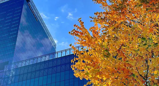 The Okura Tokyo