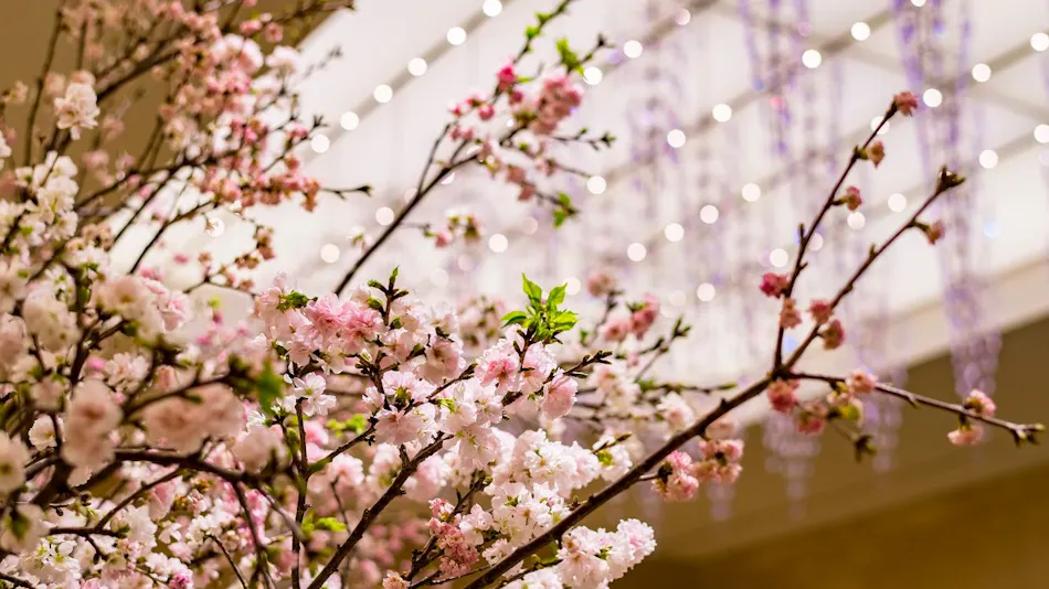 The Okura Tokyo