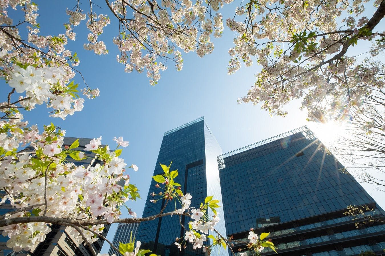 The Okura Tokyo