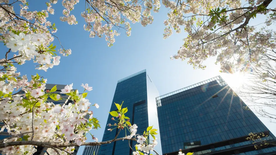 The Okura Tokyo