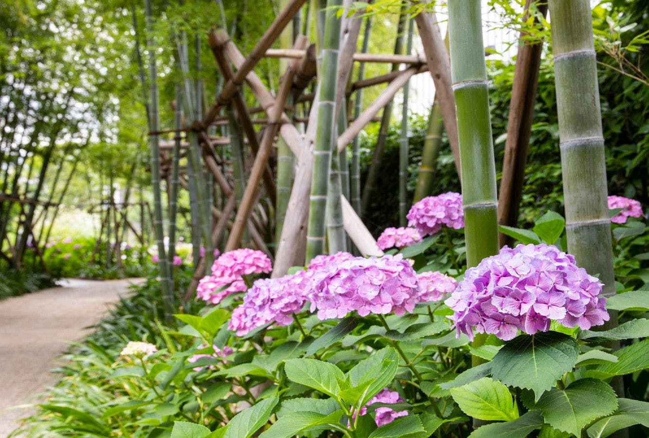 The Okura Tokyo