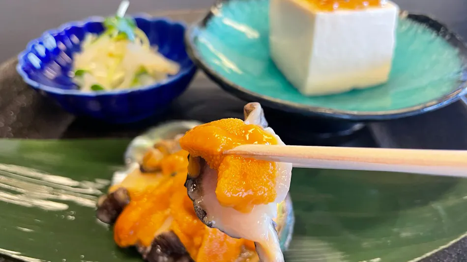 Anniversary Celebration Inn: Villa Sora no Ue