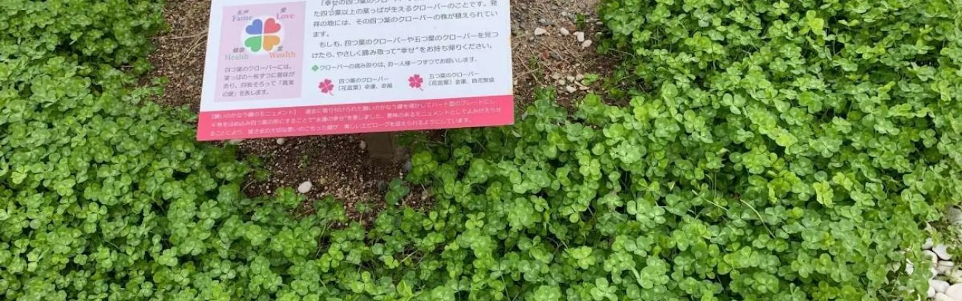 伊良湖ホテル&リゾート