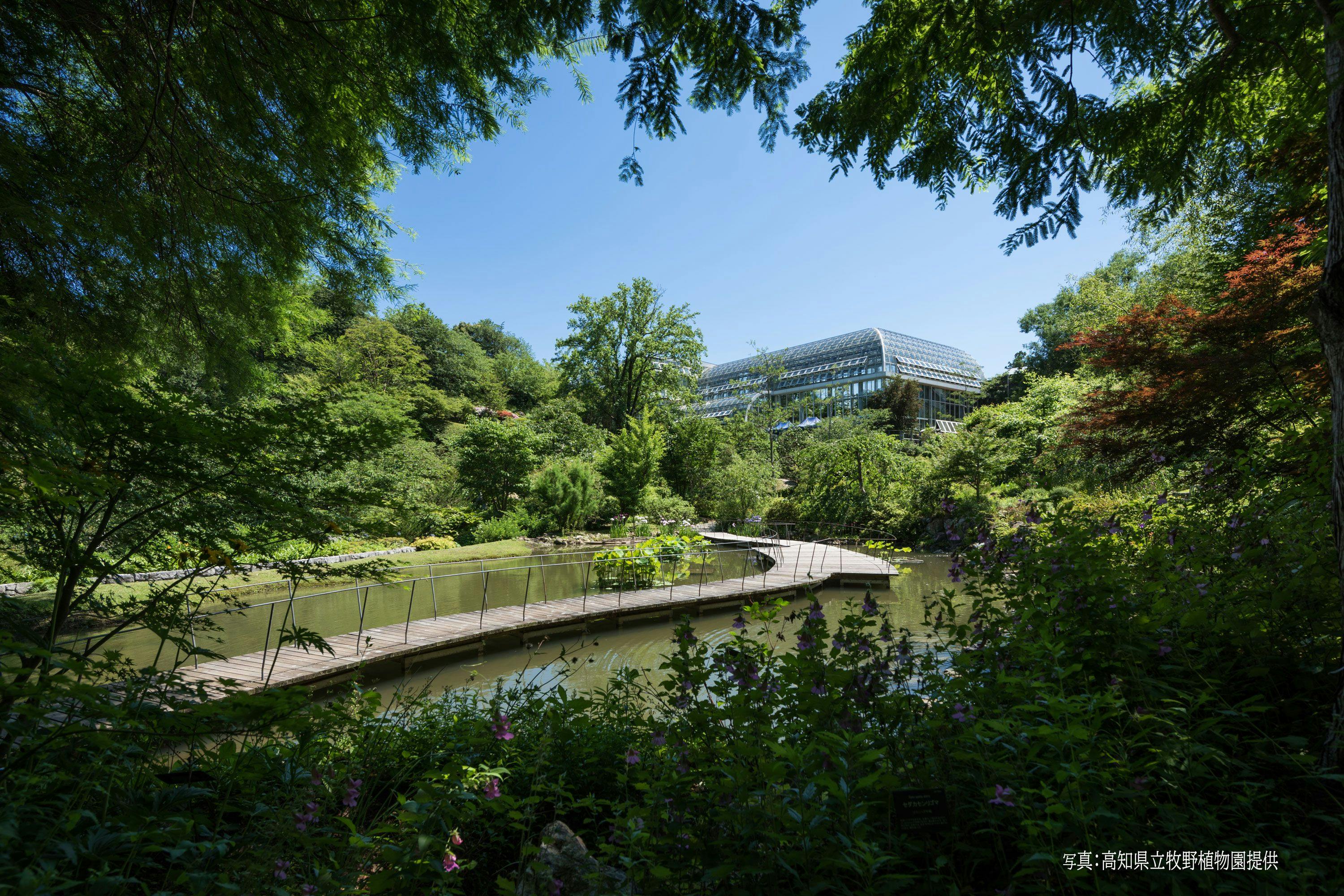 ホテル古湧園　遥