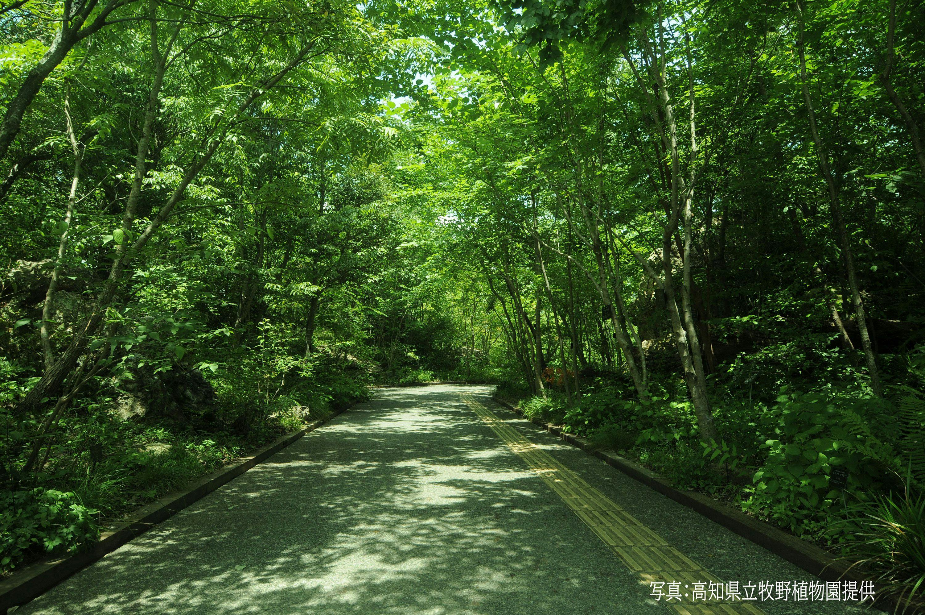 ホテル古湧園　遥