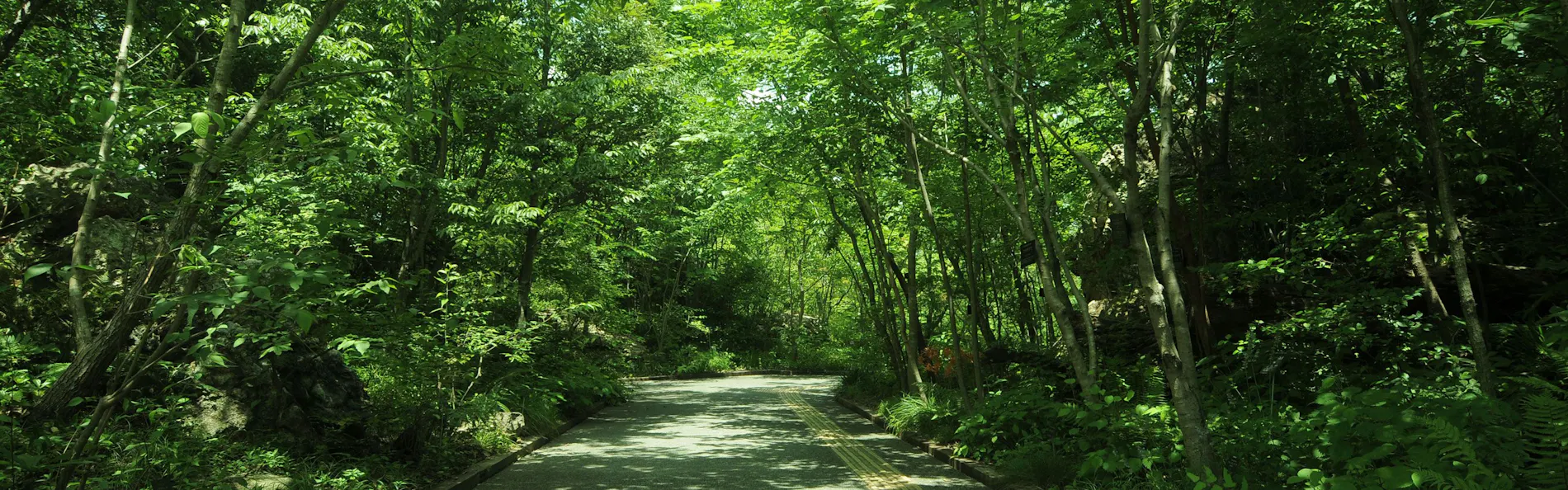 ホテル古湧園 遥