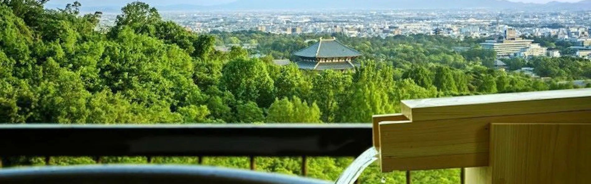 ANDO HOTEL 奈良若草山~DLIGHT LIFE & HOTELS~