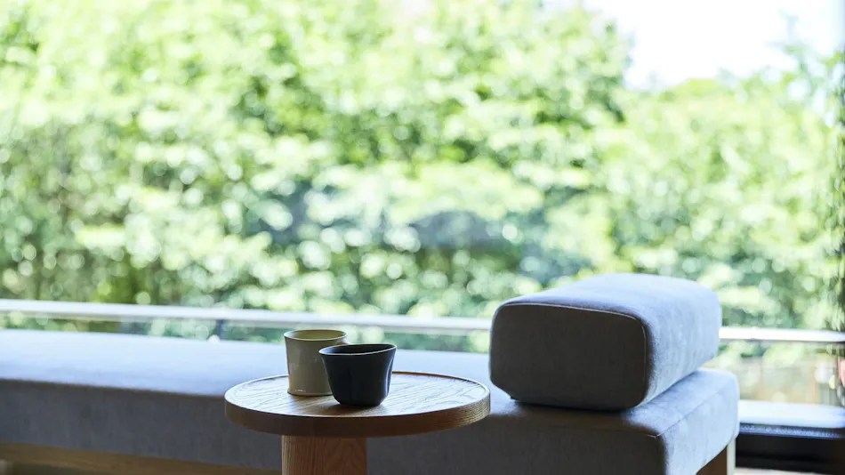 ANDO HOTEL Nara Wakakusayama ~DLIGHT LIFE & HOTELS~