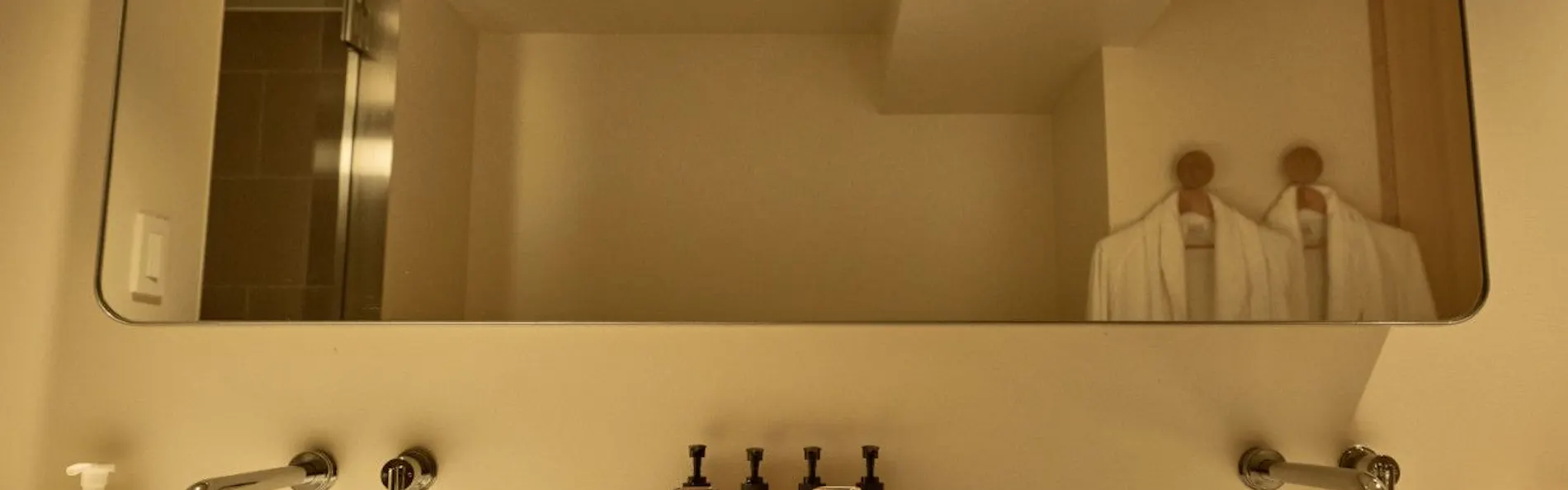 ANDO HOTEL 奈良若草山~DLIGHT LIFE & HOTELS~
