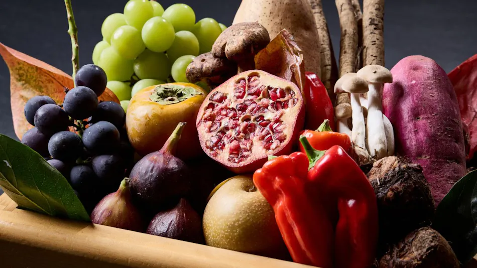 ANDO HOTEL Nara Wakakusayama ~DLIGHT LIFE & HOTELS~