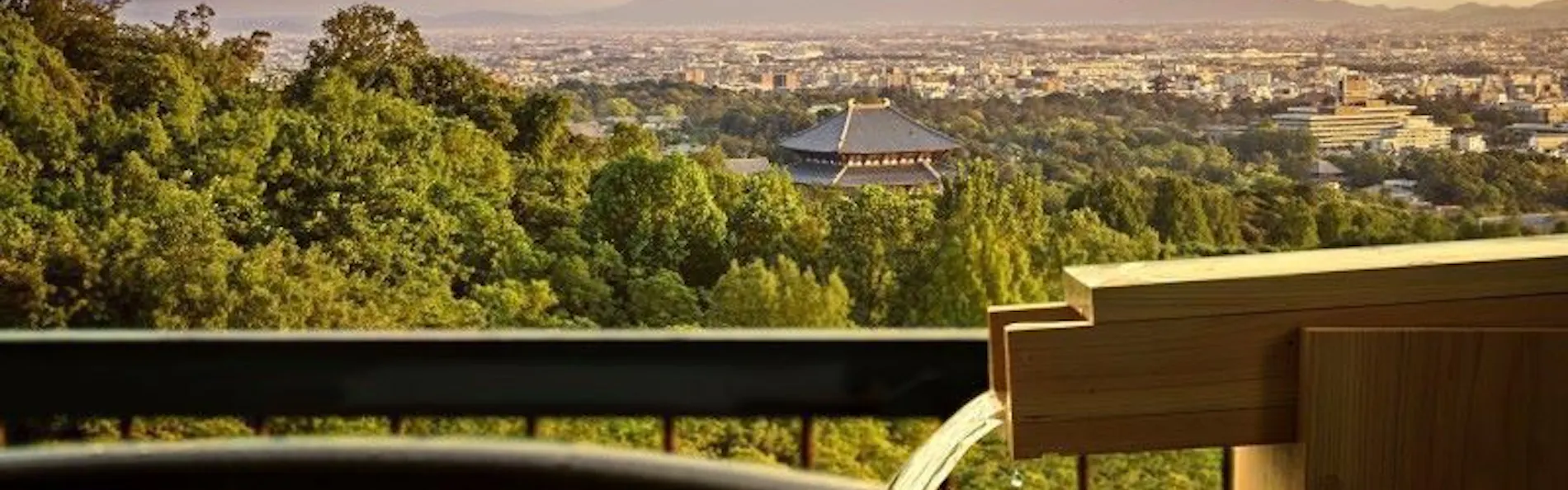 ANDO HOTEL 奈良若草山~DLIGHT LIFE & HOTELS~