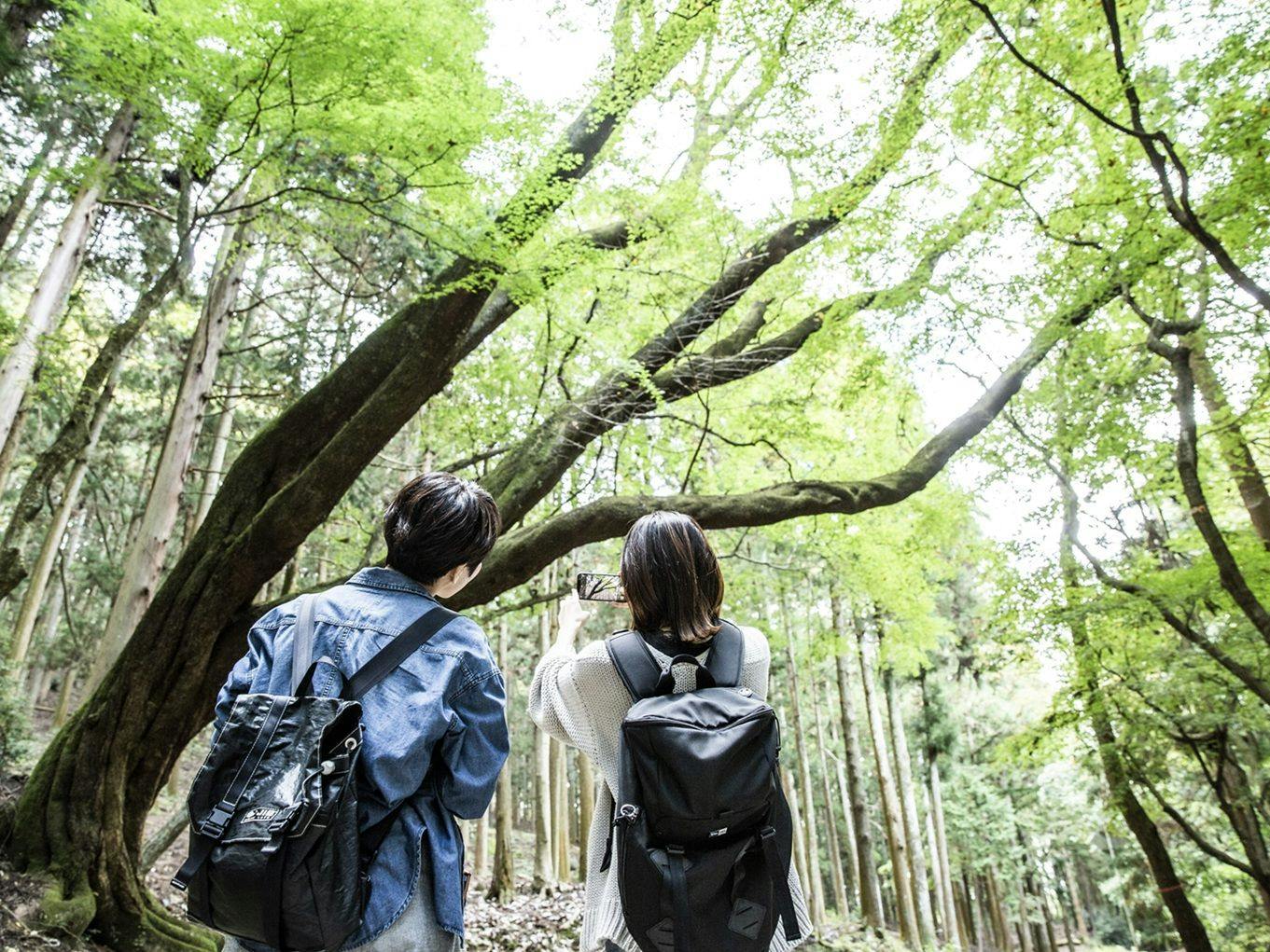 ANDO HOTEL 奈良若草山～DLIGHT LIFE ＆ HOTELS～