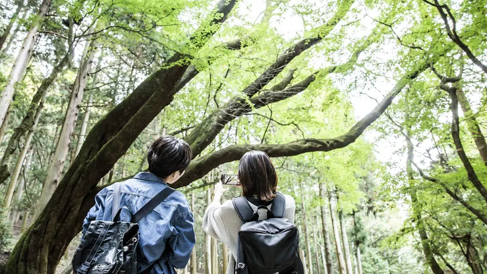 ANDO HOTEL Nara Wakakusayama ~DLIGHT LIFE & HOTELS~