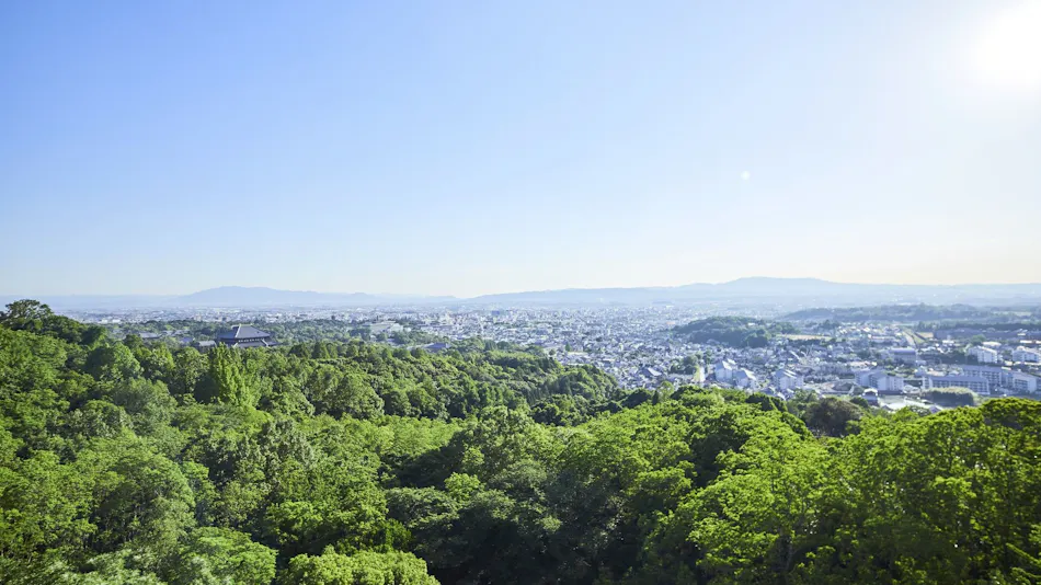 ANDO HOTEL Nara Wakakusayama ~DLIGHT LIFE & HOTELS~