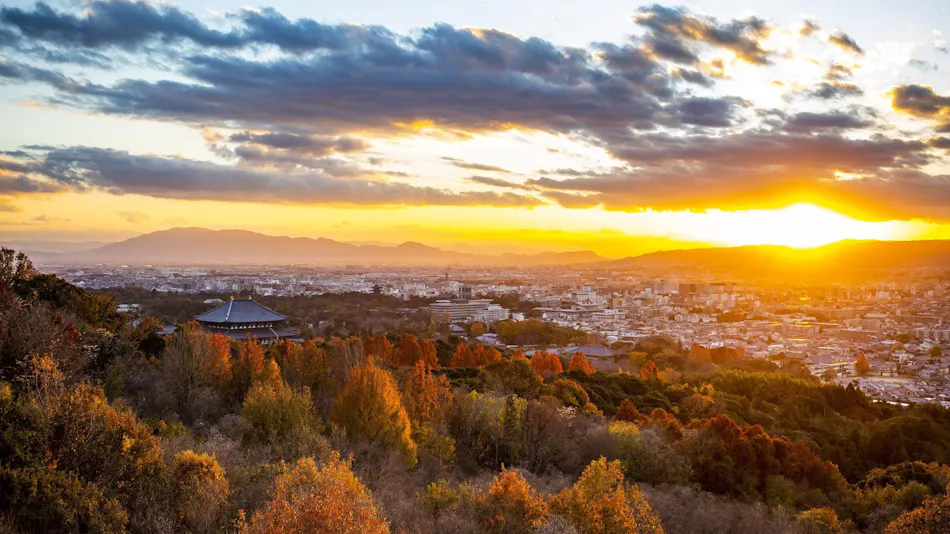 ANDO HOTEL Nara Wakakusayama ~DLIGHT LIFE & HOTELS~