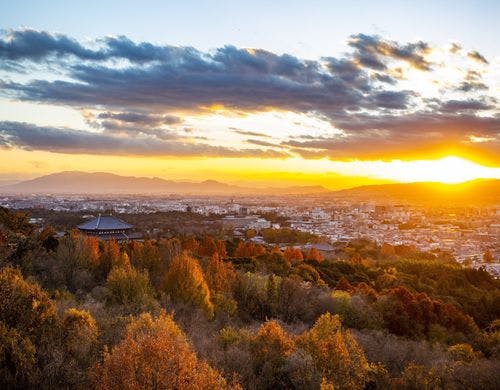 地平線の先の鮮やかな夕景