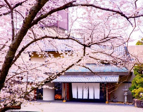 桜季節のANDOホテル