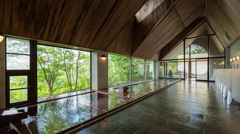 Izu Kogen Onsen Hotel Mori no Izumi