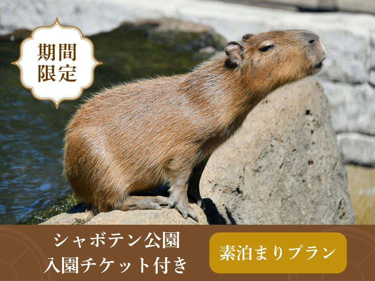 【シャボテン公園入園チケット付き】動物とのふれあいと温泉を楽しむ！＜素泊まり＞